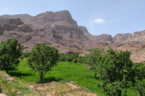 Contraste entre cultures et zones désertiques. Djebel Saghro