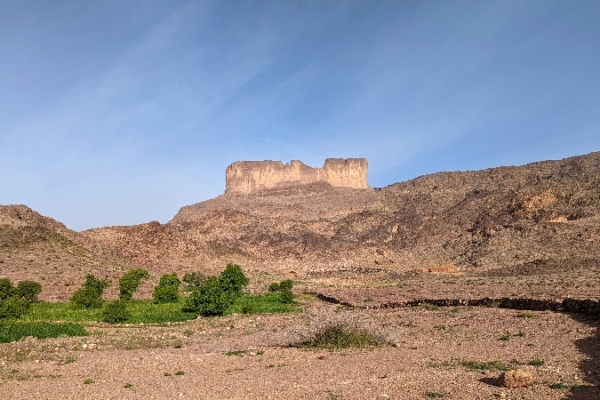Nous croisons régulièrement des cultures isolées de tout. Djebel Saghro