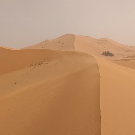 Visibilité réduite par la tempête de sable. Merzouga