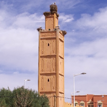 Des cigognes ayant construit leur nid sur le minaret de Rich. Rich