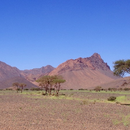 Route entre Rissani et Zagora. Rissani Zagora