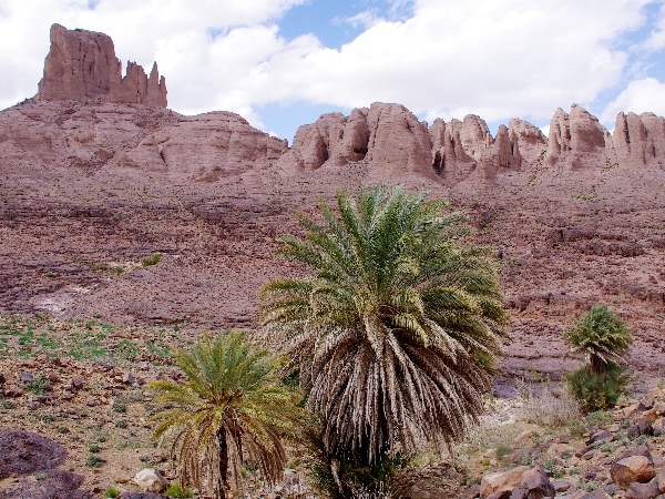 En redescendant de nouveau des palmiers. Djebel Saghro