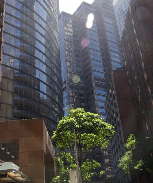 Sydney, buildings de Barangaroo. Sydney