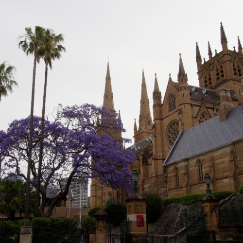 Sydney, la cathédrale Sainte-Marie. Sydney