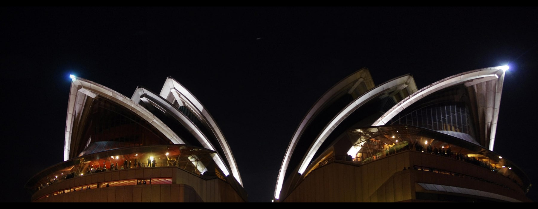 Sydney, fête des Wallabies. Sydney
