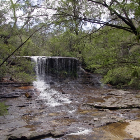 Les Blue Mountains, Wentworth Falls. Blue Mountains