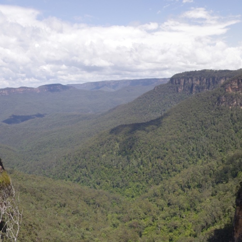 Sentiers au travers de la falaise avec de magnifiques points de vue. Blue Mountains