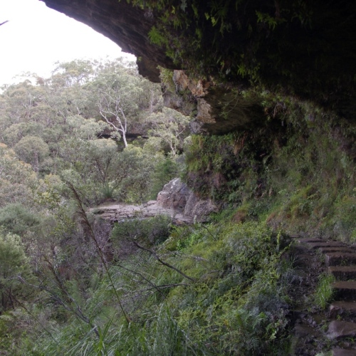 Sentiers au travers de la falaise avec de magnifiques points de vue. Blue Mountains