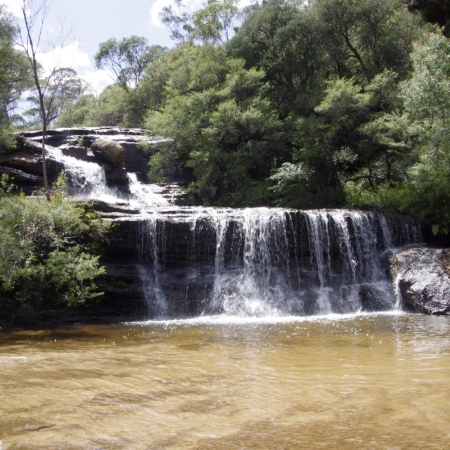 Les Blue Mountains, Wentworth Falls. Blue Mountains
