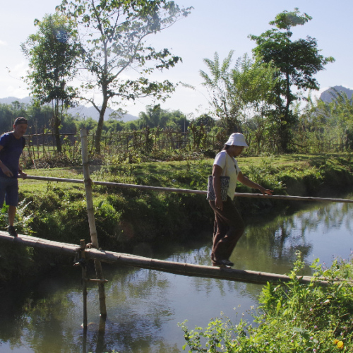 Petit pont en bambou. Ban Phathao