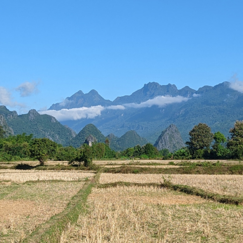Rizières et paysage karstique. Ban Phathao