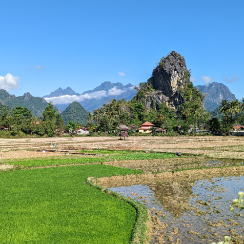 Rizières et paysage karstique. Ban Phathao
