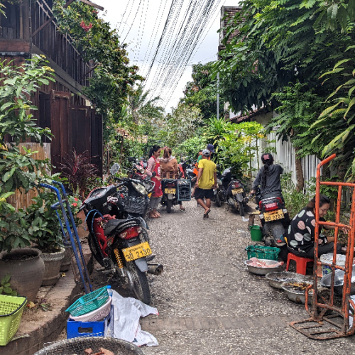 Le marché de Luang prabang. Luang Prabang
