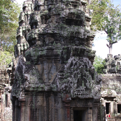 Le Temple de Ta Prohm. Siem Reap