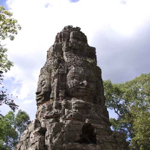 Le Temple de Ta Prohm. Siem Reap