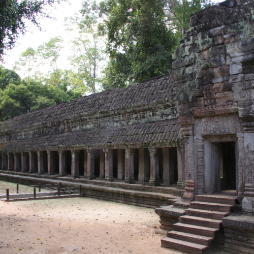 Le Temple de Ta Prohm. Siem Reap