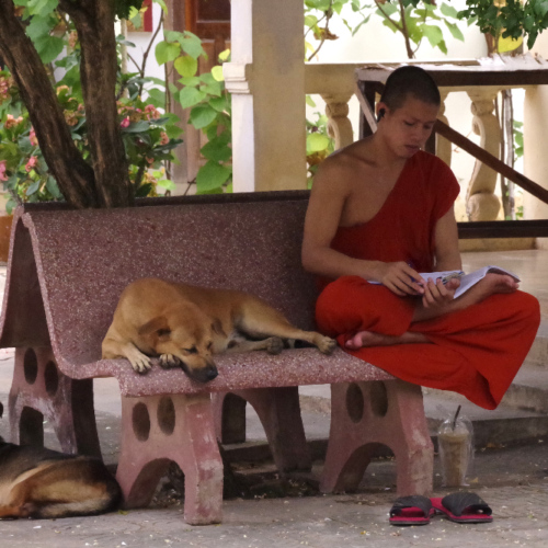Un petit tour dans un temple à Siem reap. Siem Reap