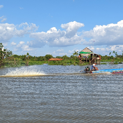 Les barques à fond plat. Lac Tonlé Sap.