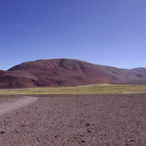 Route Antofalla, Antofagasta par le col Atacamaña. La zone humide et verdoyante. La Puna.