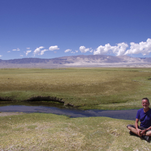 Havre de verdure dans la Laguna Blanca. La Puna.