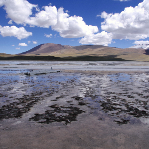 Laguna Brava. Reste de l'épave de l'avion. La Puna.