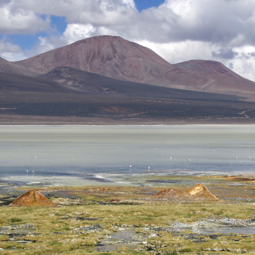 Laguna Brava. Petits geysers. La Puna.