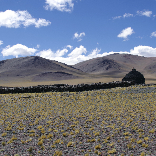 Laguna Brava. La Puna.