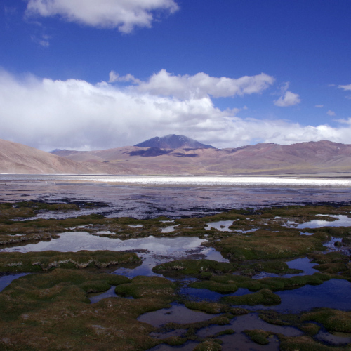 Laguna de los Aparejos. La Puna.