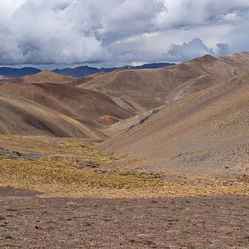 Route vers Las Grutas, frontière chilienne. La Puna.