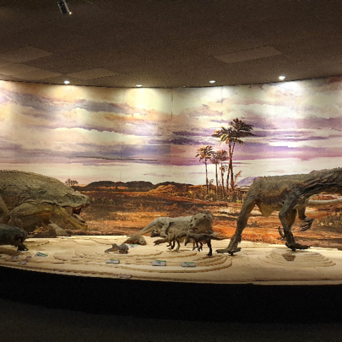 Le Musée du Parc d'Ischigualasto. La Puna.