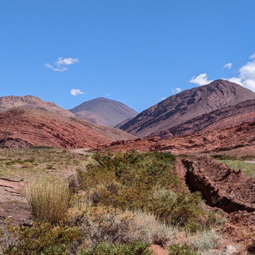 Route pour la Laguna Brava. La Puna.
