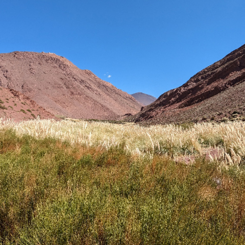 Route pour la Laguna Brava. La Puna.