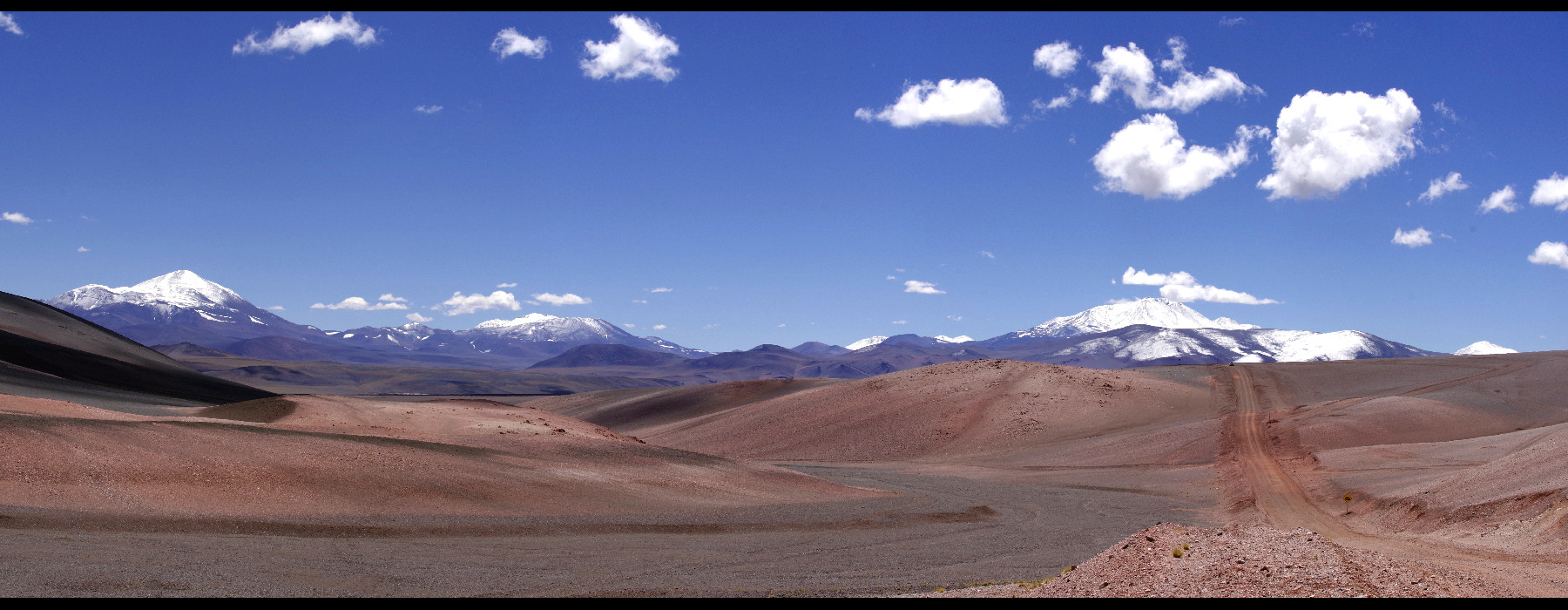 Sur la route pour la Laguna Brava. La Puna.