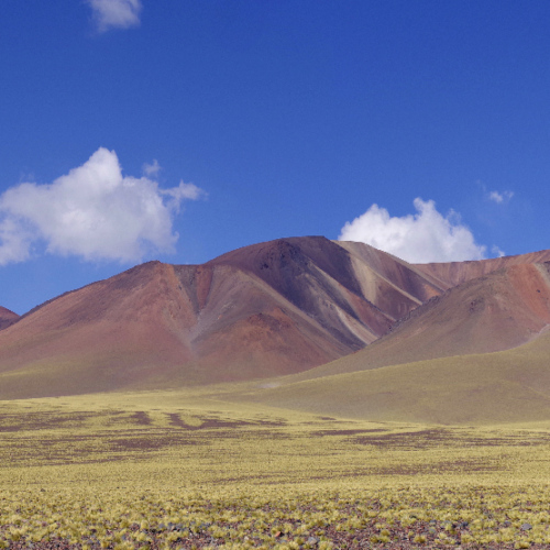Sur la route pour Las Grutas. La Puna.