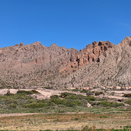 Sur la route pour San Antonio de los Cobres. La Puna.