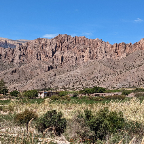 Sur la route pour San Antonio de los Cobres. La Puna.