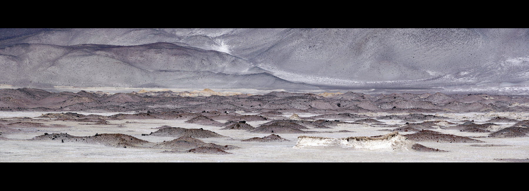 Salar d'Antofalla. La Puna.