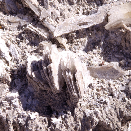 Salar d'Antofalla, gisement de gypse. La Puna.