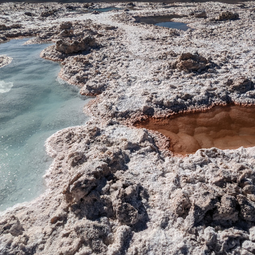 Salar d'Antofalla, la Laguna Verde.
Micro-organismes extrêmophiles à droite. La Puna.