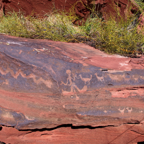 Pétroglyphes au Parc National de talampaya. La Puna.