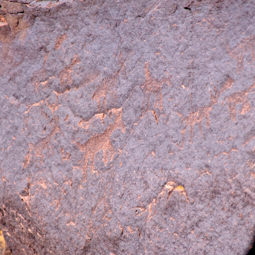 Pétroglyphes au Parc National de talampaya. La Puna.