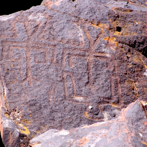 Pétroglyphes au Parc National de talampaya. La Puna.