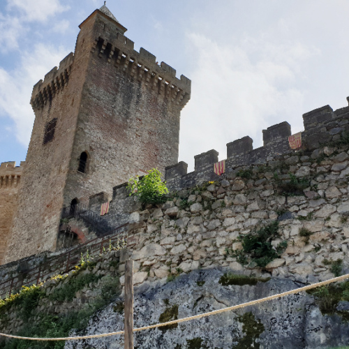 Le Château des Comtes de Foix. Foix.