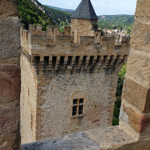 Le Château des Comtes de Foix. Foix.