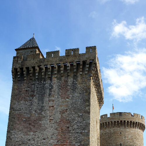 Le Château des Comtes de Foix. Foix.