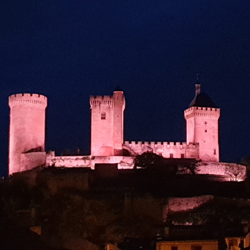 Le Château des Comtes de Foix. Foix.