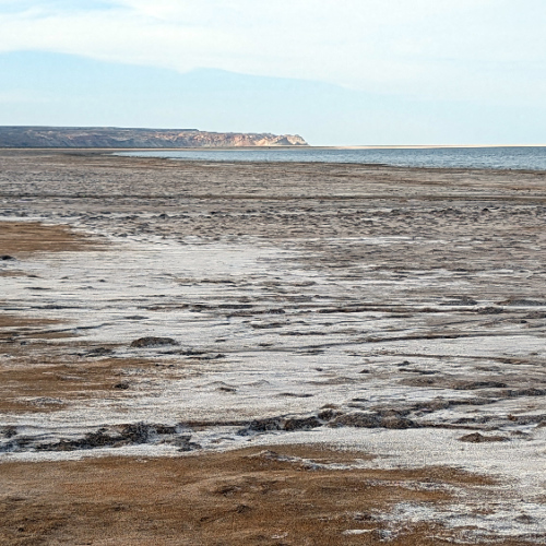 Les bords de la Mer d'Aral. Mer d'Aral.