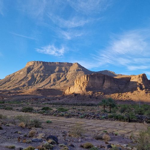D'anciennes cultures, blé ou orge. Six jours de trek dans le Djébel Saghro