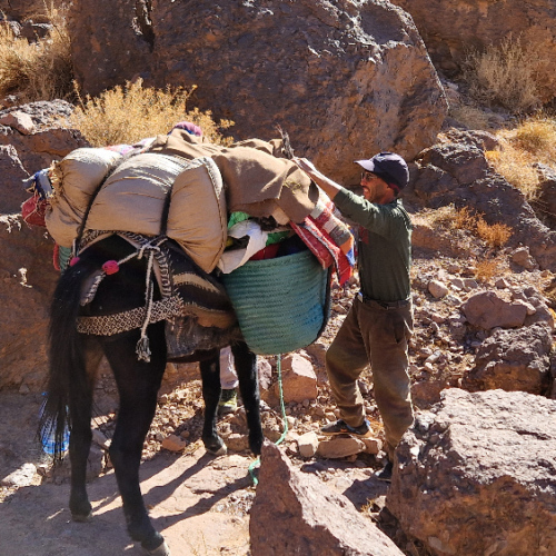 Nous rejoignons Hamou pour le déjeuner. Six jours de trek dans le Djébel Saghro