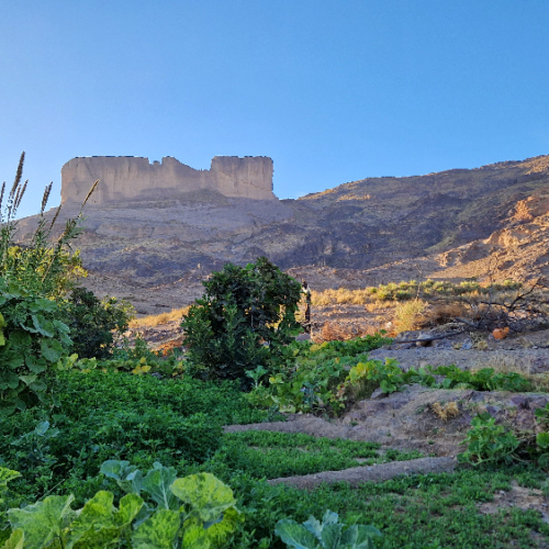 Une source, un petit potager. Six jours de trek dans le Djébel Saghro